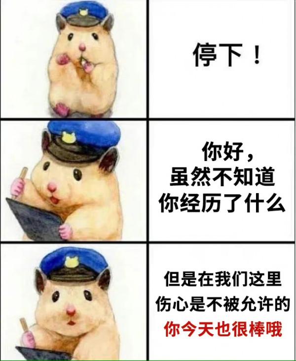 橘子晚報:都美竹退學;金瀚張芷溪分手;車銀優胖了? 橘子晚報:都美竹退學;金瀚張芷溪分手;車銀優胖了?