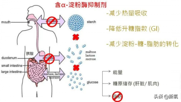 “便秘神藥”小粉丸,真的能治便秘、減肥嗎? “便秘神藥”小粉丸,真的能治便秘、減肥嗎?