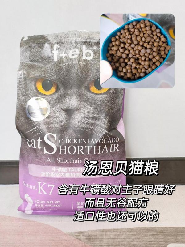 新手如何低成本養貓！貓糧選擇篇