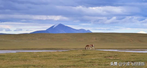 美國黃石的13倍！我國首批國家公園正式官宣，驚豔世界的風景來了