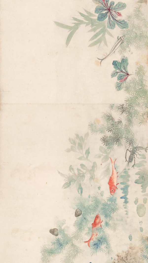 清代女子畫秋日荷塘,美醉了 清代女子畫秋日荷塘,美醉了