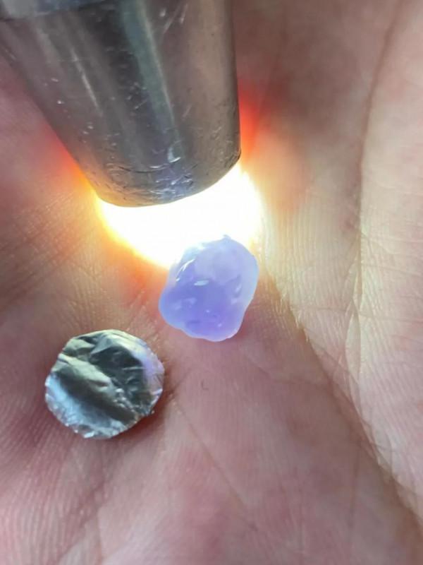 招財濃紫小胖豬