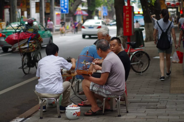 破舊市井裡，卻藏著煙火氣的院子生活