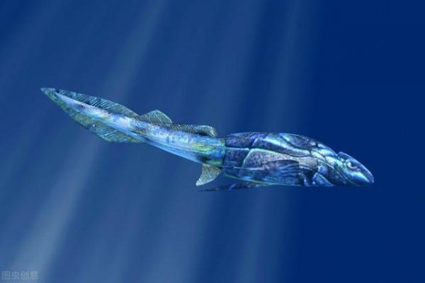 最大海洋生物，究竟是什麼呢？連藍鯨也比不得？