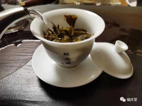 古茶高階品質的形成鳳凰窩(易武古茶樹) 古茶高階品質的形成鳳凰窩(易武古茶樹)