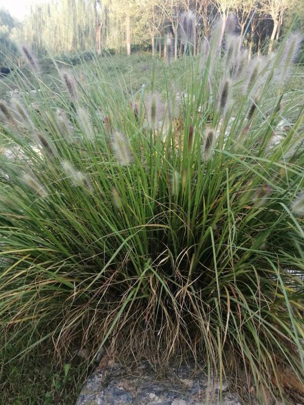 感覺不值得 感覺不值得