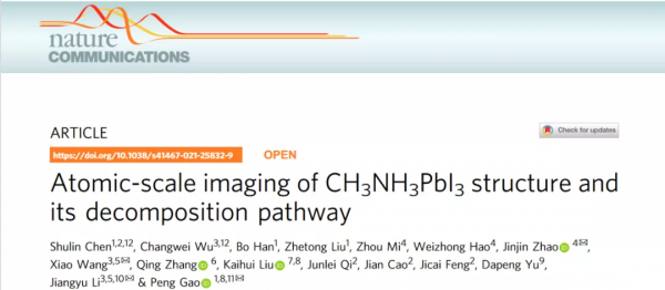 初識廬山真面目：低劑量原子像解析雜化鈣鈦礦結構與分解