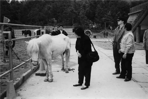 《西遊記》中的白龍馬最終去哪了？下場十分悽慘，惜嘆葬身何處