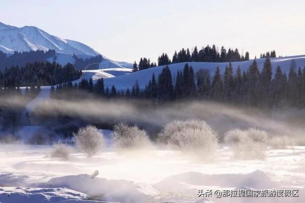 大雪｜那拉提的雪景讓你心動了嗎？