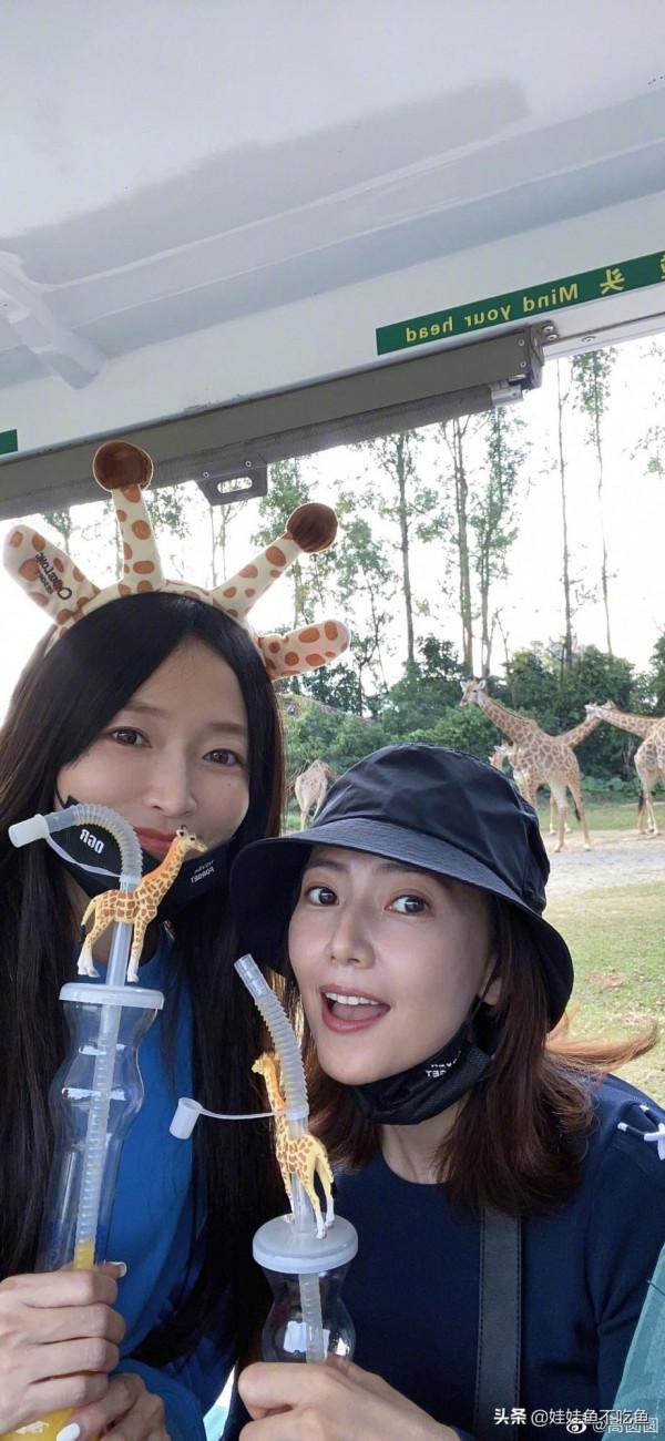 高圓圓曬動物園半日遊