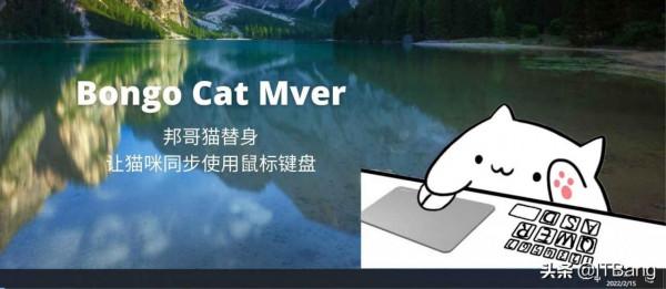 讓貓咪同步使用滑鼠鍵盤 陪伴無聊的你