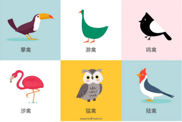 福利 | 十渡觀鳥實踐課——探索鳥類與環境關係