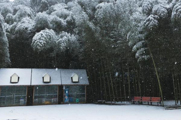天府旅遊名縣 | 天府花溪谷：一大波福利即將來襲！超讚不限量特惠，你準備好了嗎！