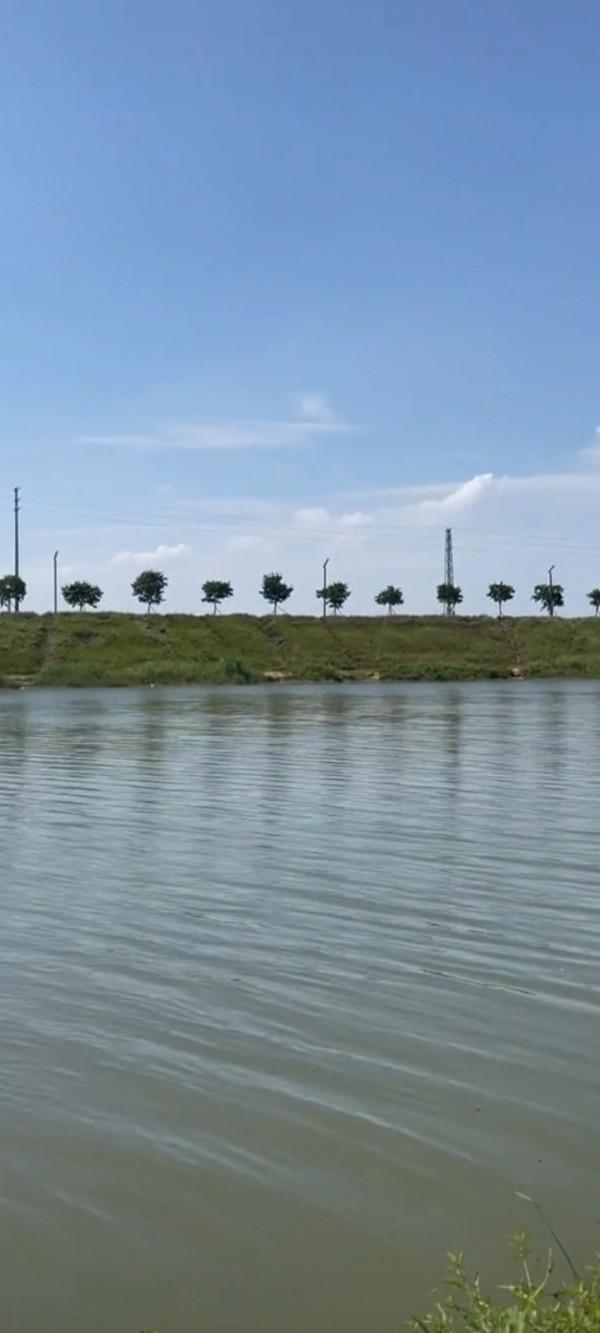 老釣友分享春季野釣,釣深、釣淺應該如何選擇? 老釣友分享春季野釣,釣深、釣淺應該如何選擇?