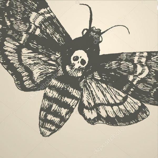 從五種動物身上可以看到神似人臉的圖案，感嘆大自然的神奇