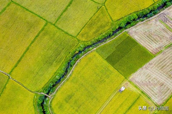 今日秋分 | 豐收的季節來了，金色田野惹人醉