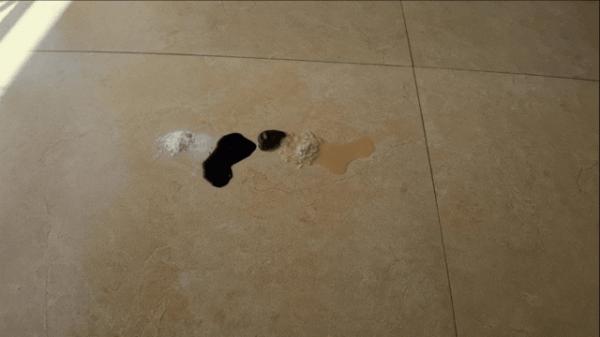 懶人救星，掃拖吸洗除菌一機搞定——添可芙萬2.0無線智慧洗地機