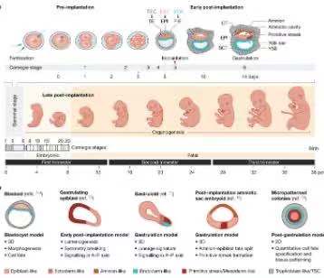 浙大爆發！8篇Nature！8篇Science