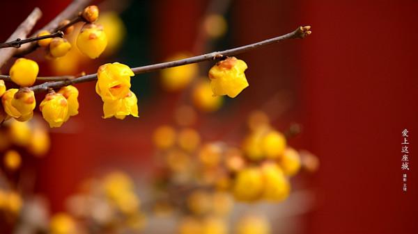 10個帶「昱」字豆蔻年華的小孩名,個個智慧明達 10個帶「昱」字豆蔻年華的小孩名,個個智慧明達