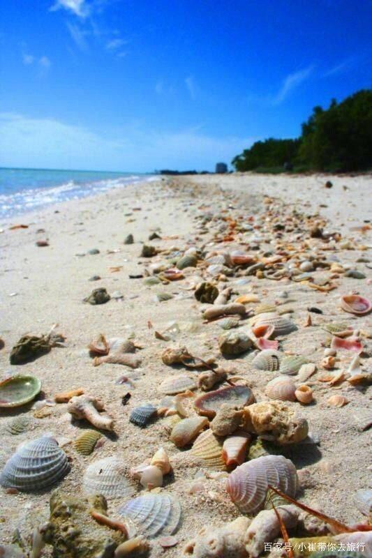 亞丹漢姆45公里處，貝殼堆積如山，蔓延整整110公里，被稱最迷人