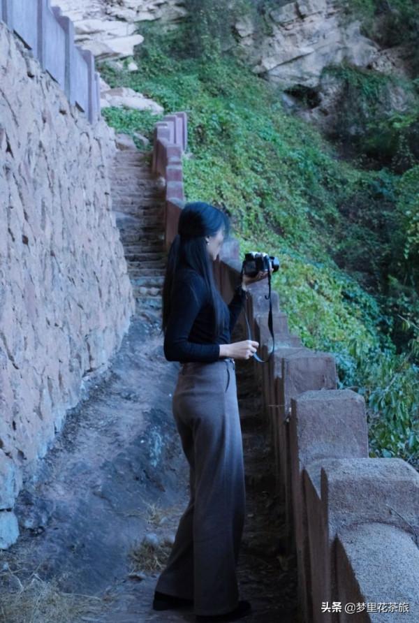 采薇姑娘 在武夷山販賣美好茶生活 &vert; 礫壤人物