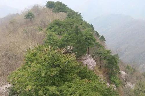 陝西潼關佛頭山