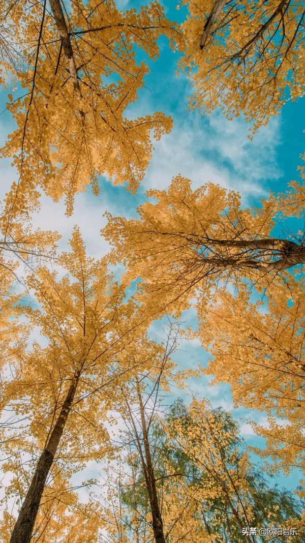 秋天的第一場旅行，你可以去這6個地方。一入秋，他們就變色了…