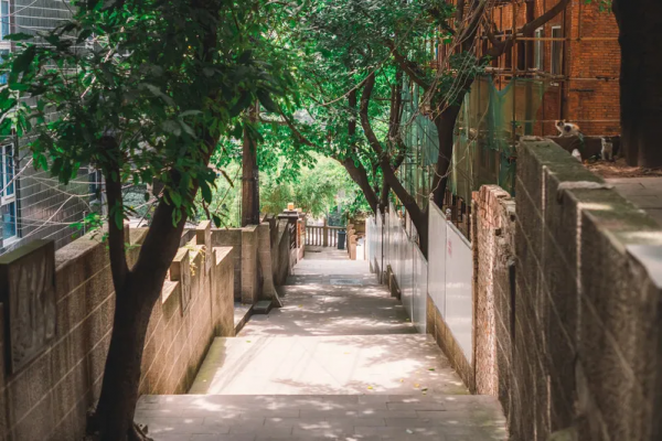 中國10大“最”城市，每個城市都藏著驚喜，你的家鄉上榜了嗎？