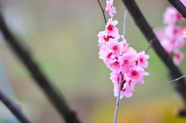 3個著名詩人寫的3首中秋詩詞，千年月光總相同，酸甜苦辣各不同