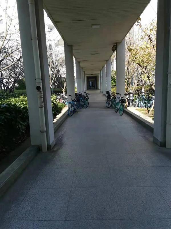 1982年,超齡10歲的錢偉長要當大學校長,鄧小平:他不受年齡限制 1982年,超齡10歲的錢偉長要當大學校長,鄧小平:他不受年齡限制