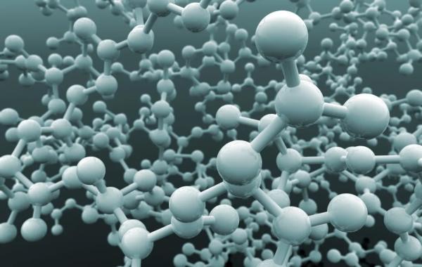 一週圖說 | 神舟飛天歸來 巨型企鵝現世 一週圖說 | 神舟飛天歸來 巨型企鵝現世