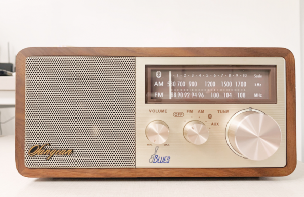 好看的音箱，體驗分享山進WR-11BT，這就是我的11.11禮物