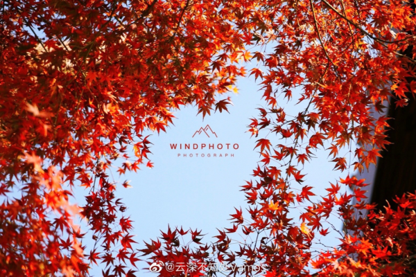 松江秋色，只服廣富林