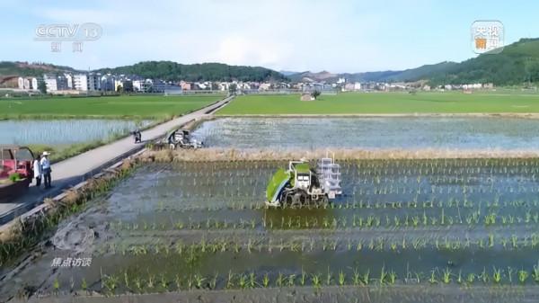 焦點訪談丨農業：走上高質量發展之路
