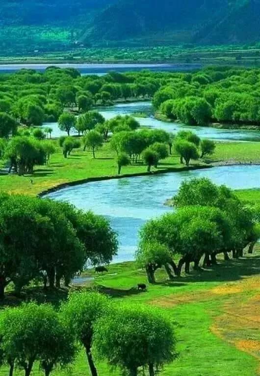 氣壯山河，心曠神怡的美景