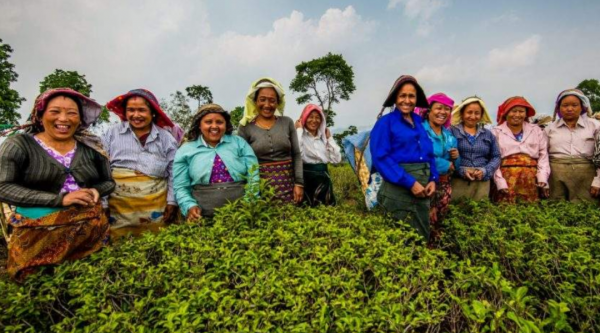 地球正在變綠？原因在中國和印度，專家卻對印度的“綠”十分擔憂