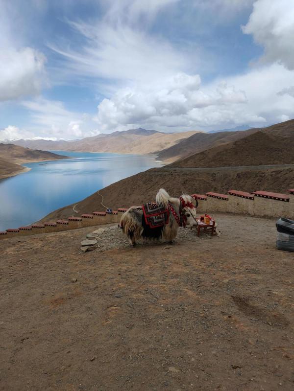 雙11 1人1車,川進青出,完成一個小目標 雙11 1人1車,川進青出,完成一個小目標