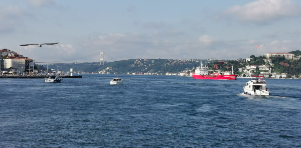 環遊土耳其&lpar;44&rpar;：食物中毒記