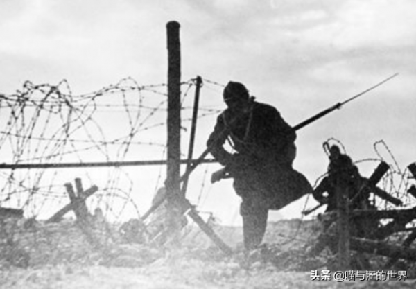 為何不起眼的鐵絲網,在戰場上有大作用?老兵:仔細看看上面是啥 為何不起眼的鐵絲網,在戰場上有大作用?老兵:仔細看看上面是啥