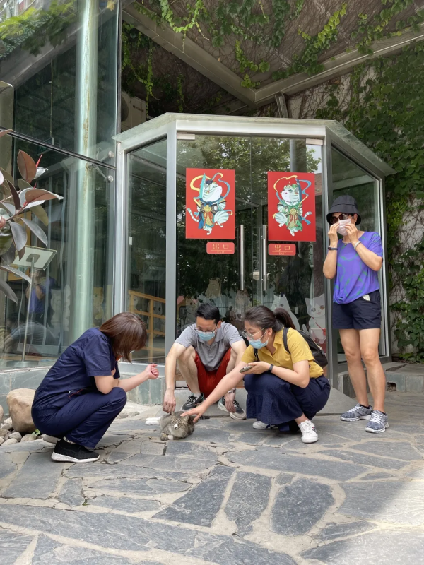 小廢貓要鹹魚翻身了咩? 小廢貓要鹹魚翻身了咩?