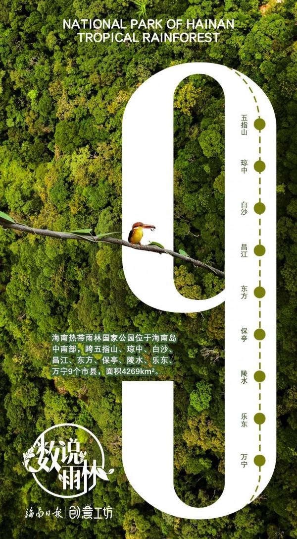 數說海南熱帶雨林國家公園