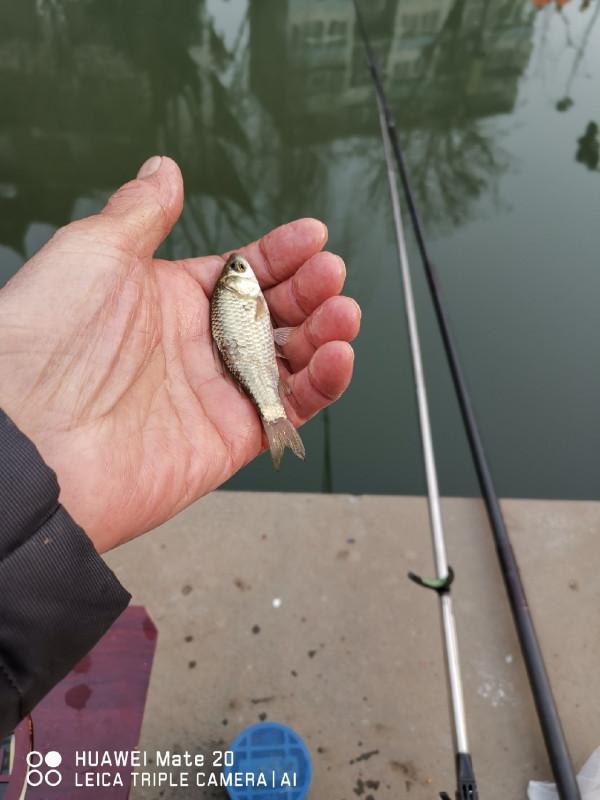 與小雜魚鬥智鬥勇,拼比毅力和耐性 與小雜魚鬥智鬥勇,拼比毅力和耐性