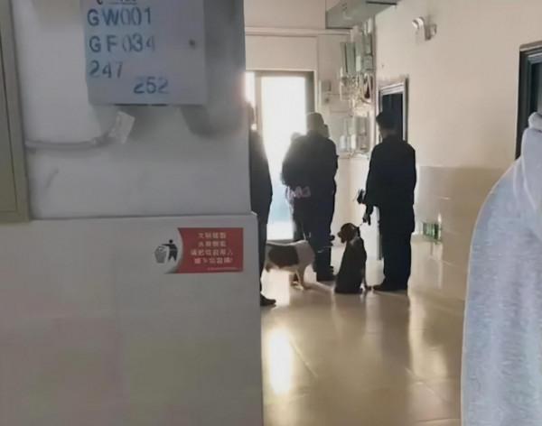 安徽一學生未婚先孕，將嬰兒從一樓扔下，身體底線如何引起重視？