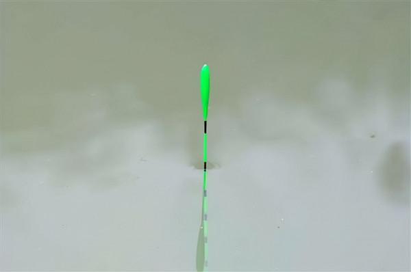 天變涼，很多釣友開始用輕餌垂釣鯽魚，這時調釣需要注意什麼？