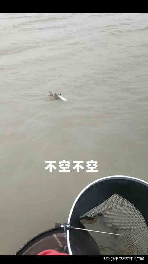 64個大板鯽之三千字帶你深度還原冬季尋鯽之旅