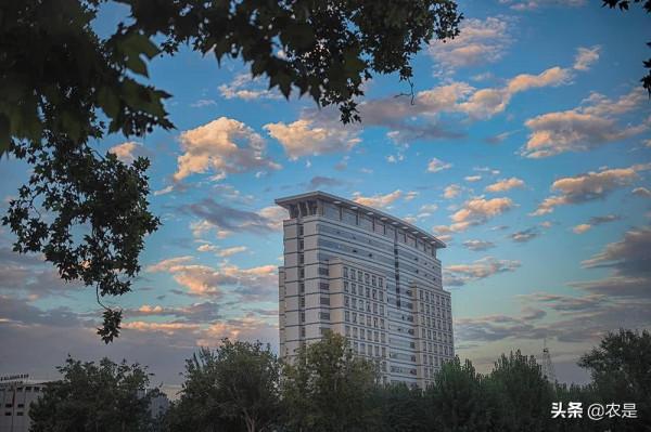 李春麗(女),河南農業大學教授、碩導,抗病遺傳育種專家 李春麗(女),河南農業大學教授、碩導,抗病遺傳育種專家