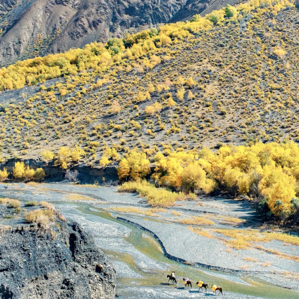 孟克德：金黃暴擊，意外心動