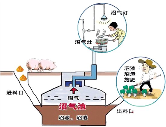 小夥建“高大上”五位一體全能大棚，種菜養豬零排放，猜掙多少錢