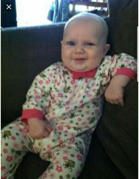 引人猜想的貓!來自書桌的詭異一笑:奴才感到害怕 引人猜想的貓!來自書桌的詭異一笑:奴才感到害怕