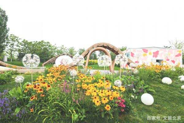 暢遊京郊｜初秋花海、綠野碧波、古城美食……來這裡盡享初秋之美吧